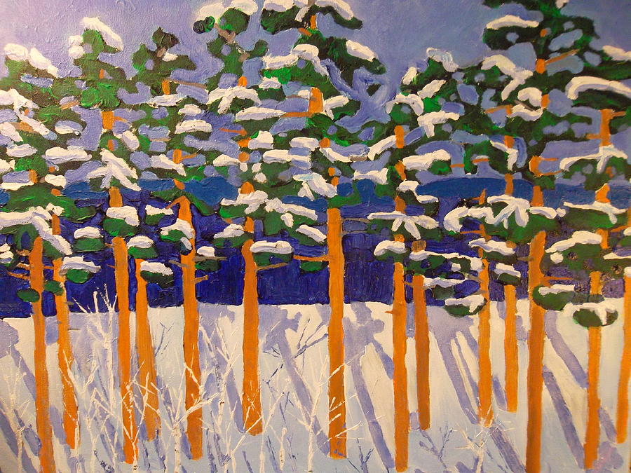 Winter Valley Painting by Rodger Ellingson