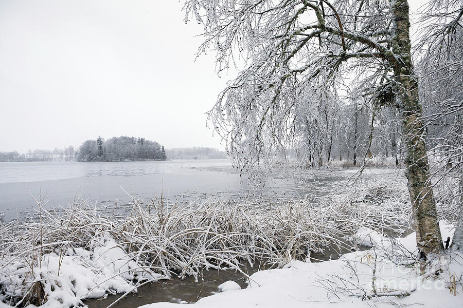 Winter Photograph - Winter view by Evija Freidenfelde