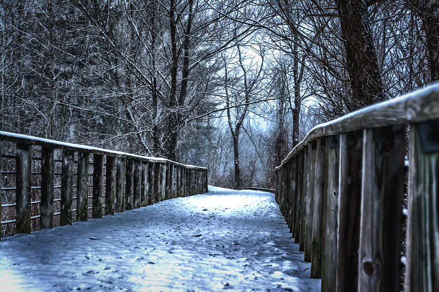 Winter Photograph - Winter Walk 1 by David  Banks 
