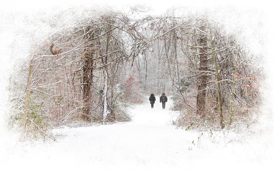 Winter Walk Photograph by Mary Timman