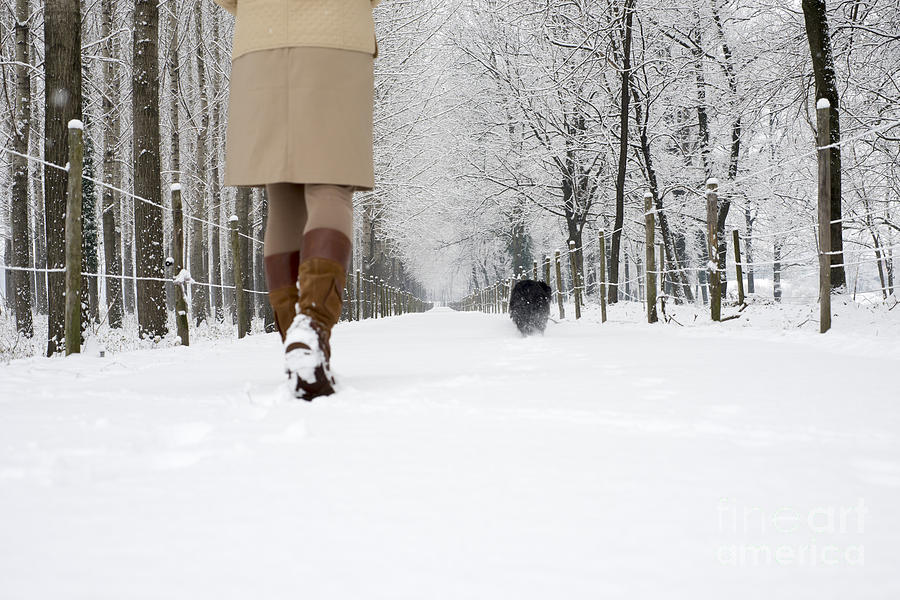 Winter walk Photograph by Mats Silvan