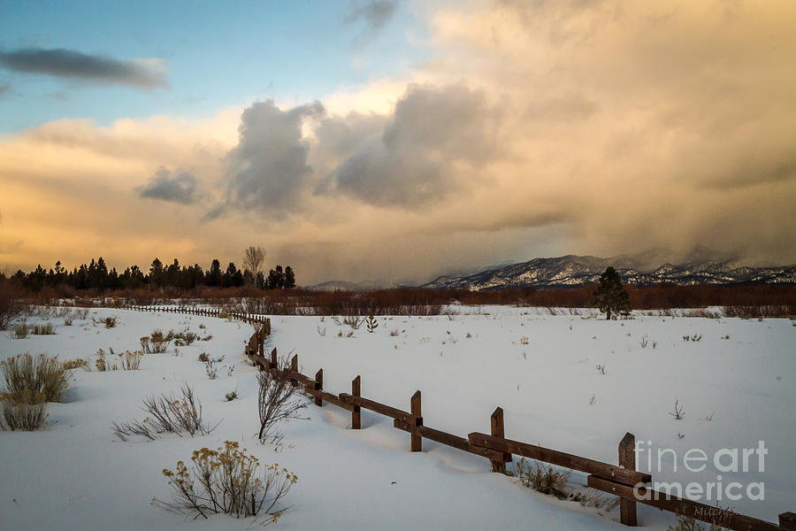 Winter Walk Photograph by Mitch Shindelbower
