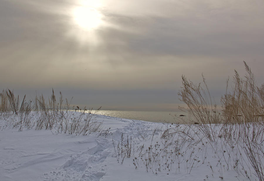 Beach Photograph - Winter walk on the beach by Diana Nault