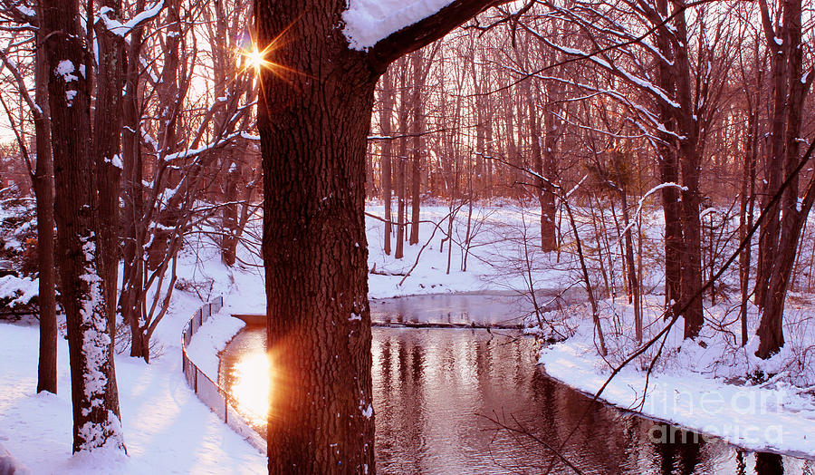 Winter Walk Photograph by Rita Brown