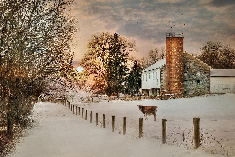 Winter Warmth Photograph by Lori Deiter