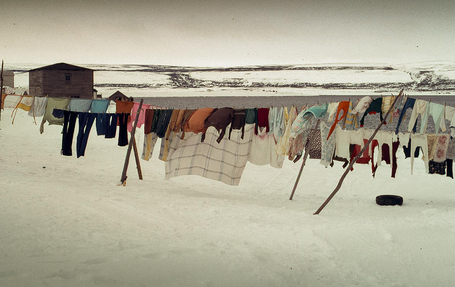 Winter Wash Day Labrador Photograph by Douglas Pike