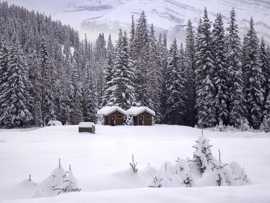 Forest Snow Blanketed Privies - Winter In Banff, Alberta Photograph by Ian McAdie