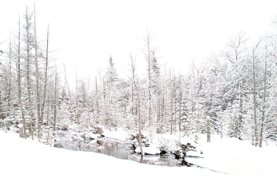 Winter Wasteland Photograph by Andrea Kollo