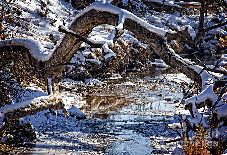 Winter Water Photograph by Bob Hislop