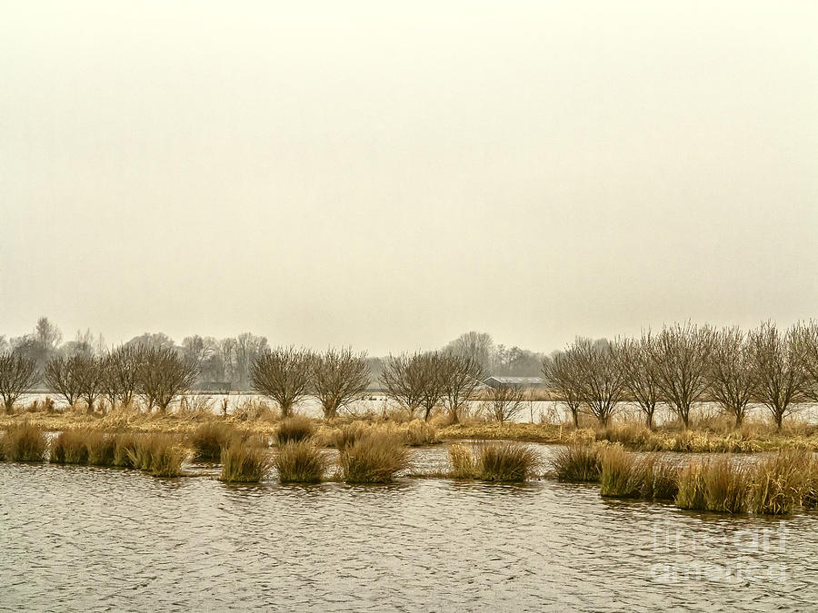 Winter water landscape Photograph by Patricia Hofmeester