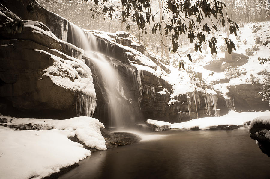 Winter Waterland-sepia Photograph by Joye Ardyn Durham