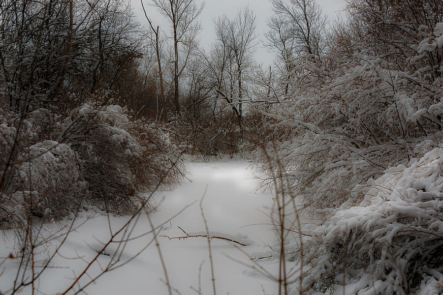 Winter Waterway Photograph by Ed Peterson