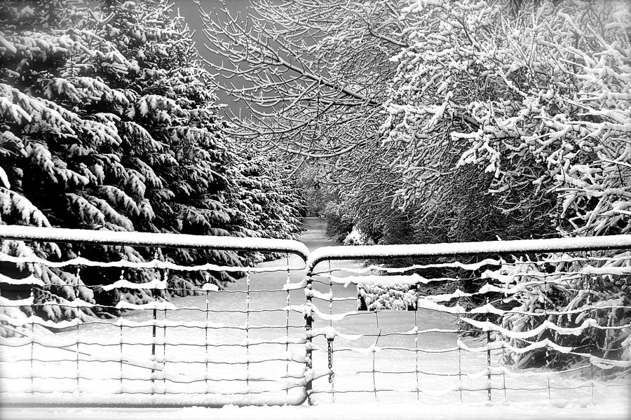 Winter Photograph - Winter Way by David  Hubbs