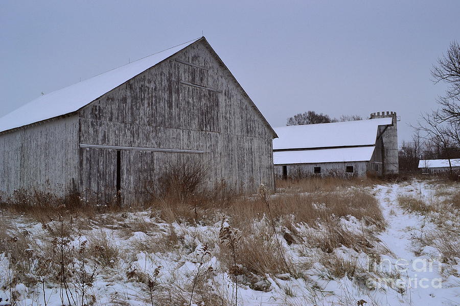 Winter Weathered Barns Photograph by Amy Lucid