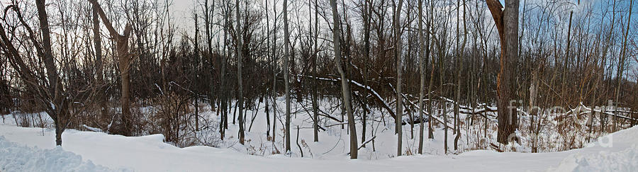 Winter Wetlands Photograph by William Norton