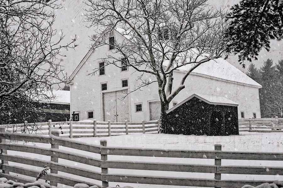 Winter White Barn Photograph by Lisa Bryant