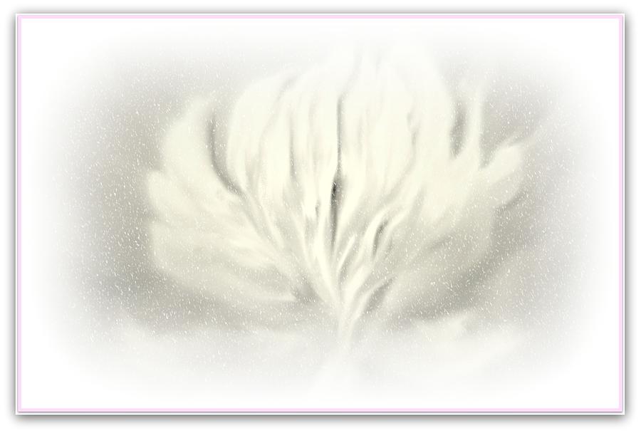 Flowers Still Life Painting - Winter White  Beautiful Flower by Sherris - Of Palm Springs