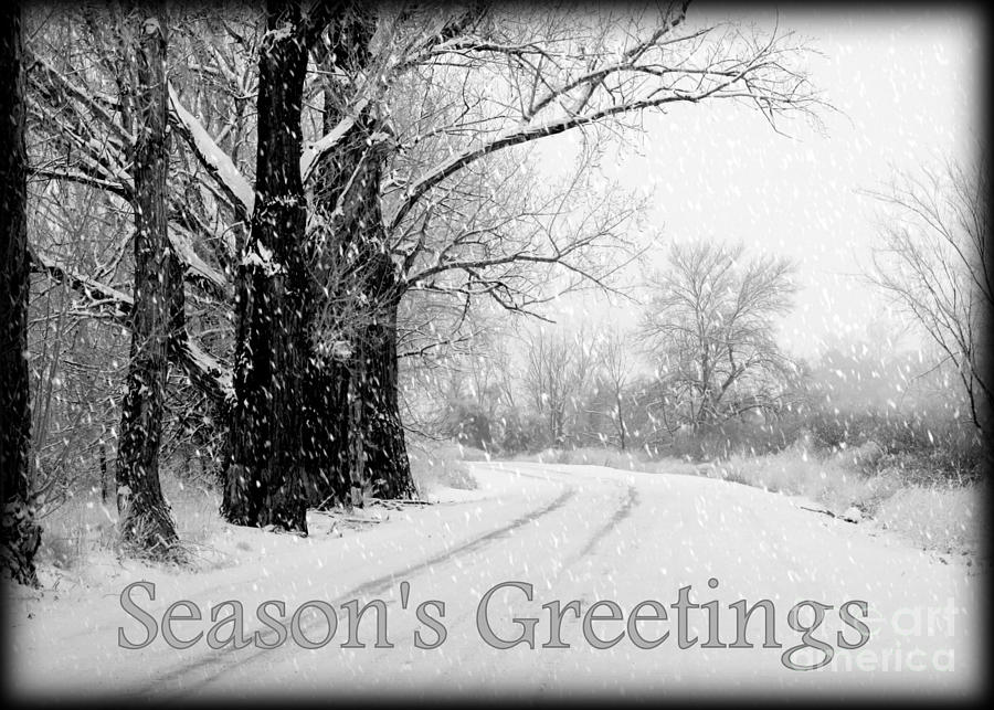 Winter White Seasons Greeting Card Photograph by Carol Groenen