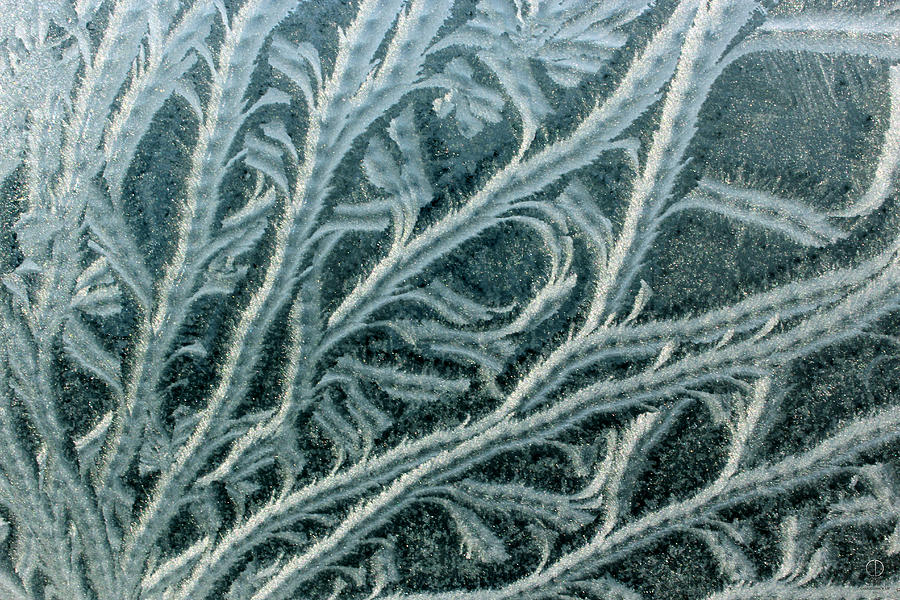 Winter Photograph - Winter Window Ice by Charles Dancik