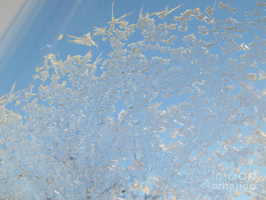 Winter Photograph - Winter Window by Seija Talolahti