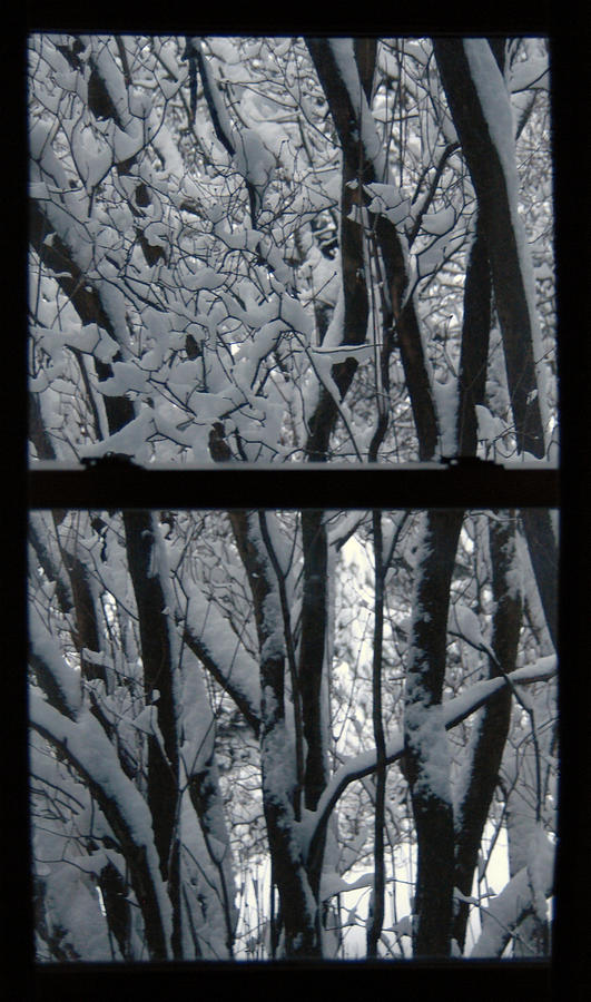 Winter Window Photograph by Wesley Elsberry