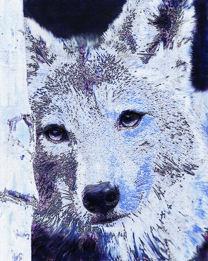 Winter Wolf Digital Art by Jane Schnetlage