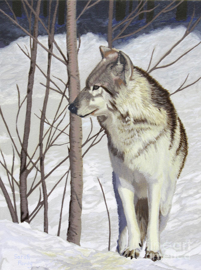 Winter Wolf Painting by Margaret Sarah Pardy