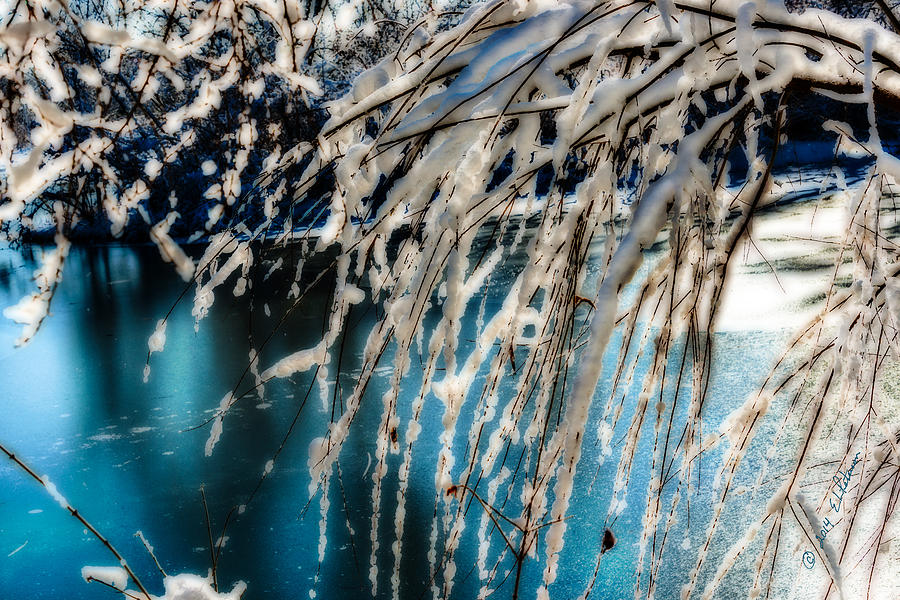 Winter Wonder Photograph by Ed Peterson