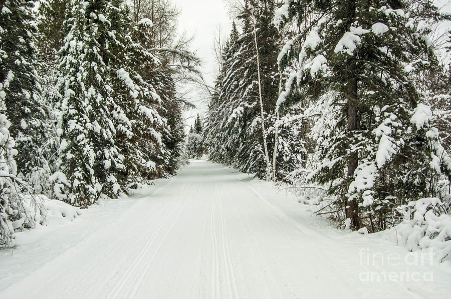 Winter Photograph - Winter Wonder Land by Patrick Shupert