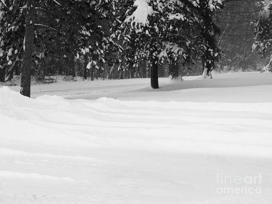 Winter Wonder Land Photograph by Tara Lynn