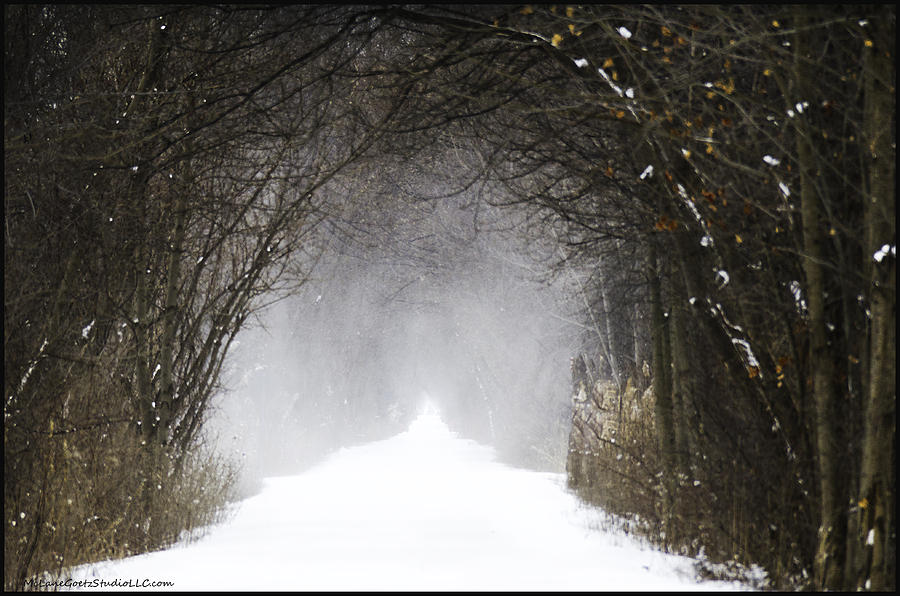Winter wonder snow tunnel of trees Photograph by LeeAnn McLaneGoetz McLaneGoetzStudioLLCcom