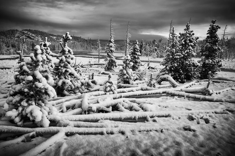 Winter Wonderland #1 Photograph by Glenn Fillmore
