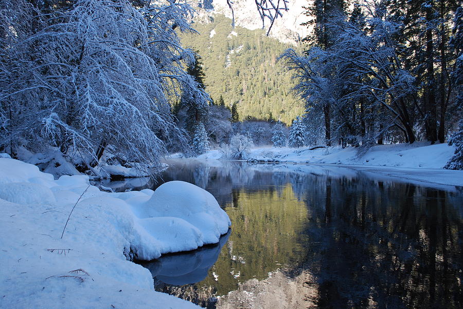 Winter Wonderland 2 Photograph by Richard Hinger
