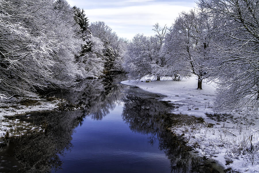 Winter Wonderland  7004 Photograph by Karen Celella