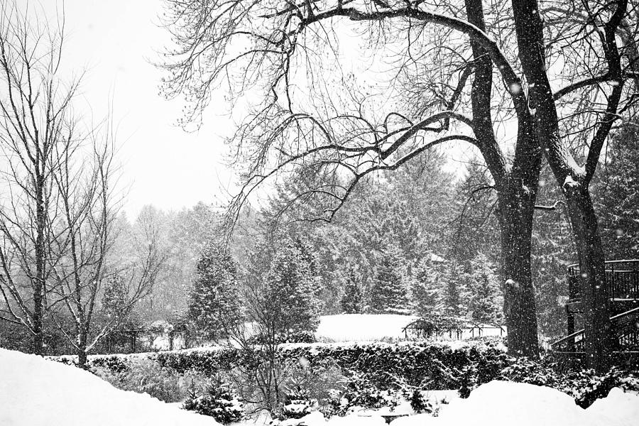 Winter Photograph - Winter Wonderland by Allan Millora Photography