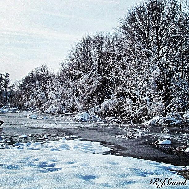 Winter Photograph - Winter Wonderland At The Beaver Pond by Roger Snook
