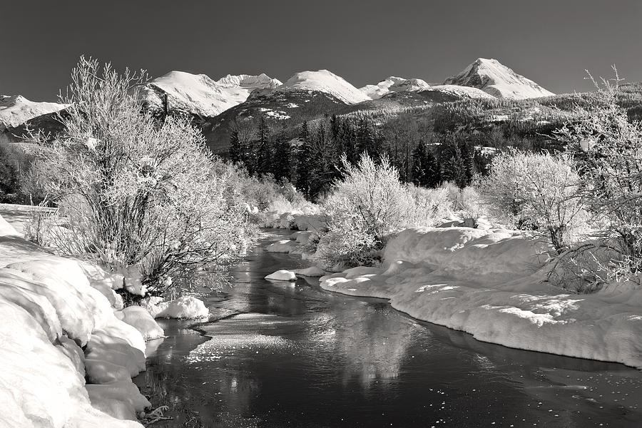 Winter wonderland Black and White Photograph by Pierre Leclerc Photography