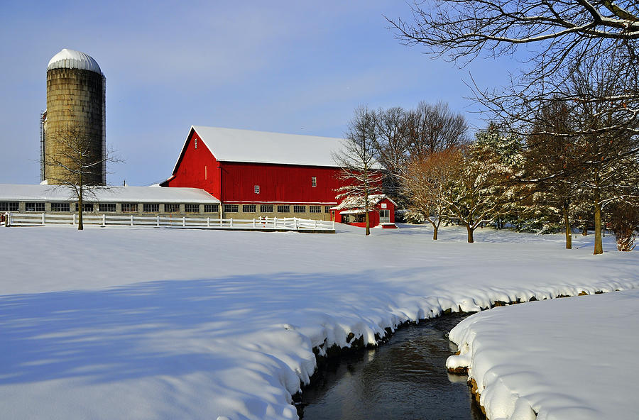 Winter Wonderland Photograph by Dan Myers
