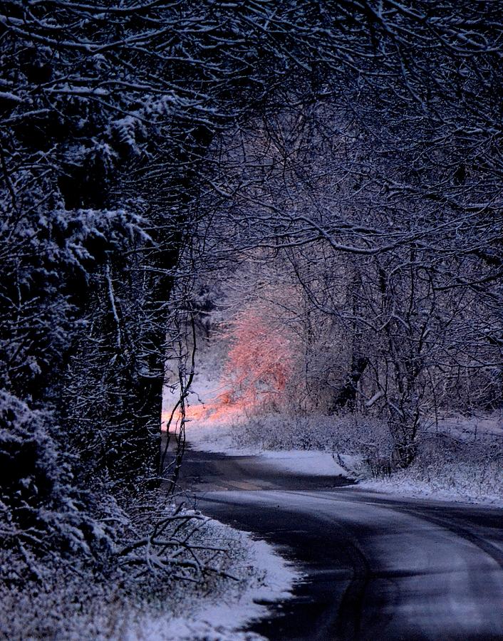 Winter Wonderland Photograph by Deena Stoddard