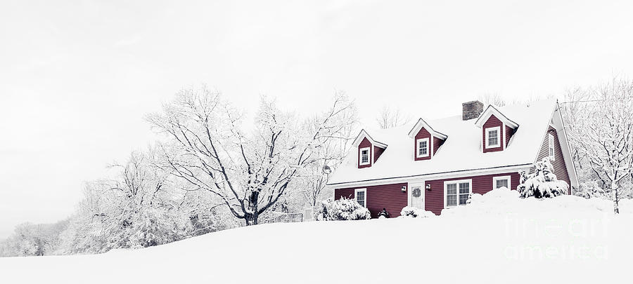 Winter Wonderland Photograph by Edward Fielding