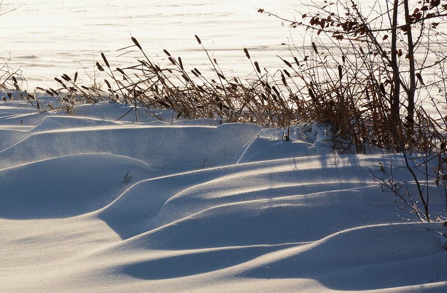 Winter Wonderland Photograph by Ellery Russell
