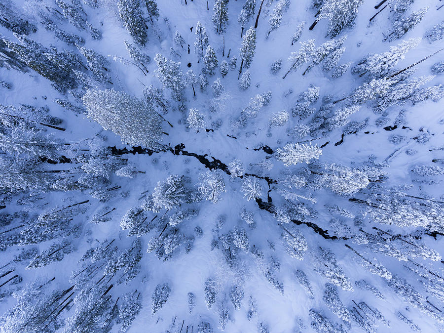 Winter Wonderland Photograph by Gerald Macua