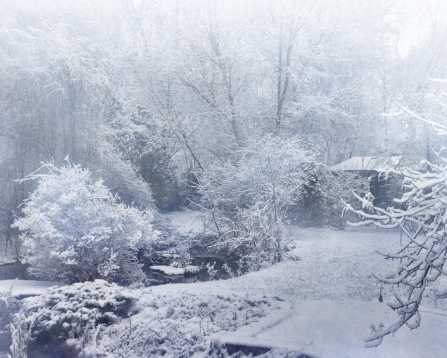 Winter Wonderland Grand Rapids Michigan Photograph by Evie Carrier