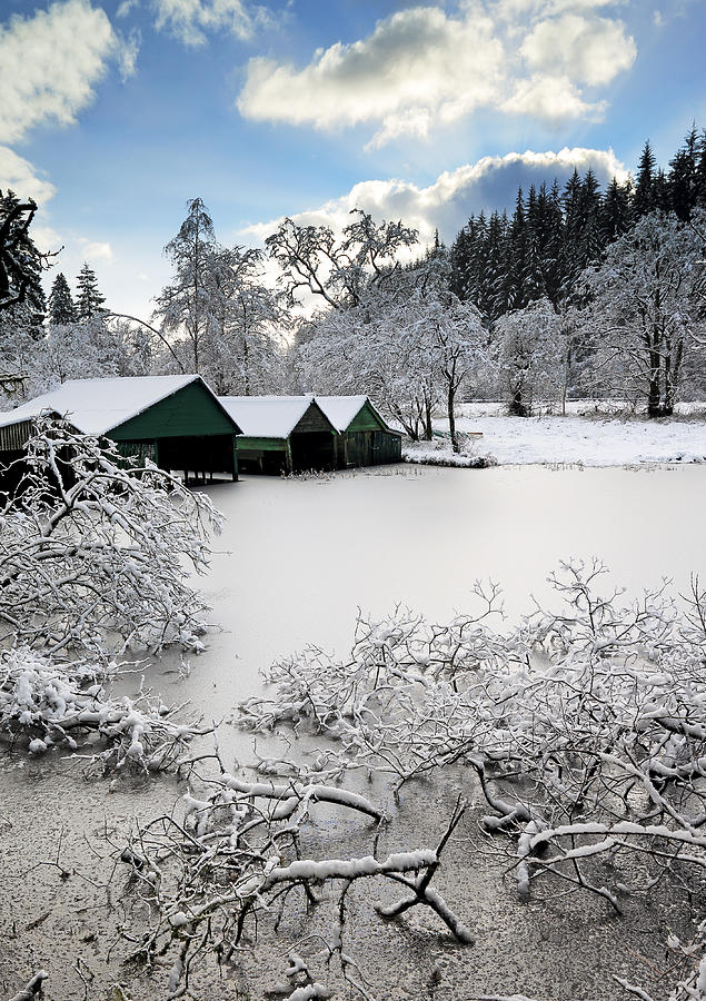 Winter Wonderland Photograph by Grant Glendinning