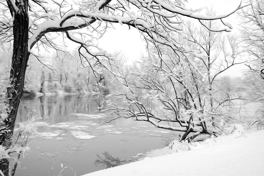 Winter Wonderland in Black and White Photograph by Tracy Winter
