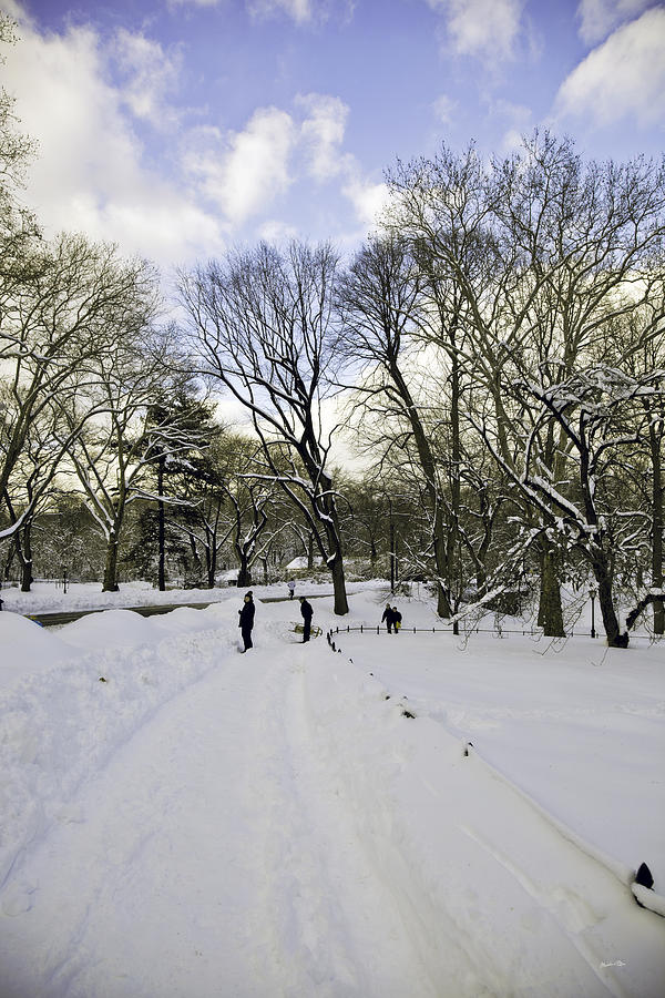 Winter Wonderland in Central Park, New York Photograph by Madeline Ellis