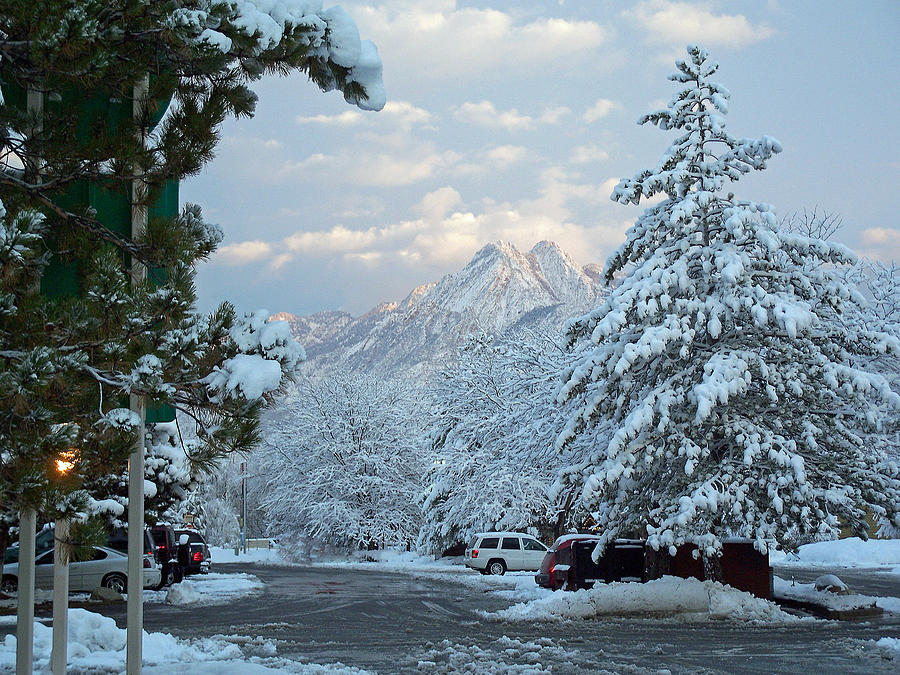 Salt Lake City Photograph - Winter Wonderland in Murray Utah by Tikvahs Hope