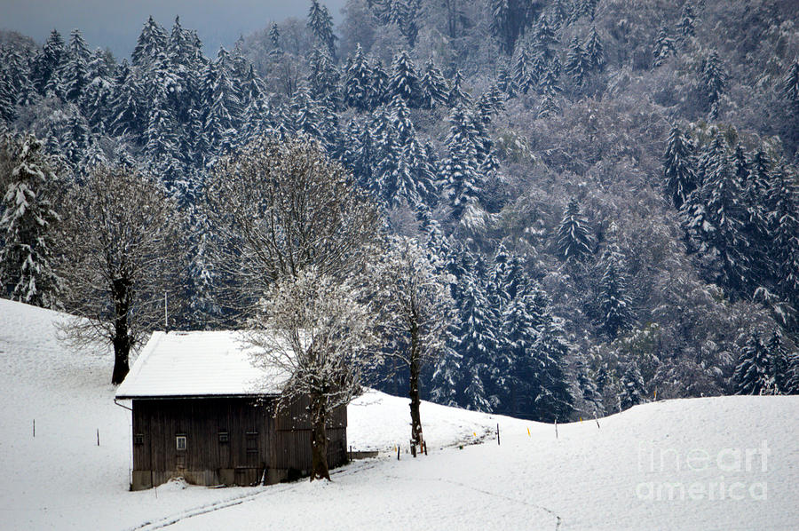 Winter Wonderland in Switzerland Photograph by Susanne Van Hulst