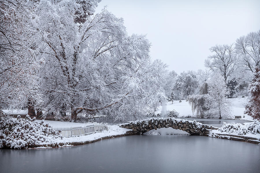 Winter Wonderland Photograph by Keith Allen