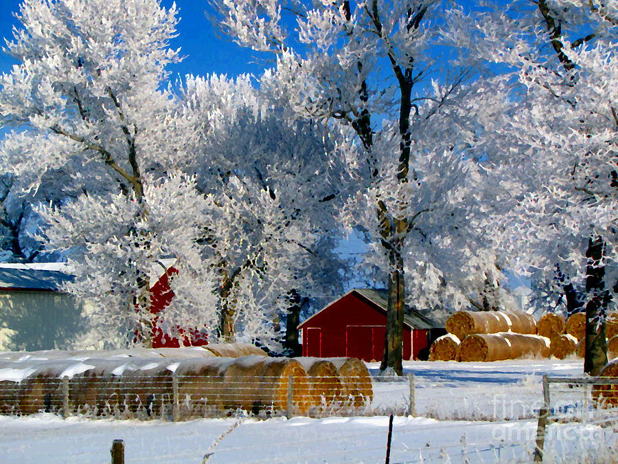 Winter Wonderland Photograph by Laurie Wilcox